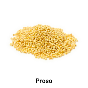 proso